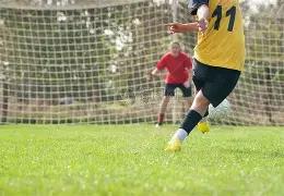 全国范围内,民星璀璨,十五运会群,nba买球官方网站,nba买球,(中国)官方,nba买球网站,nba买球app下载