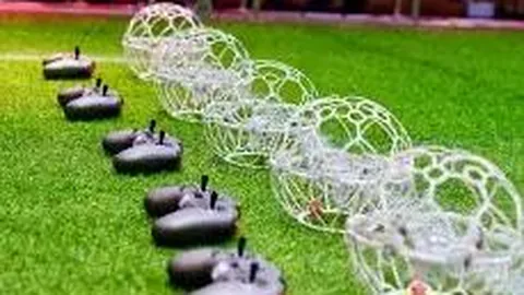 杨紫琼与74岁男友甜蜜自拍，相恋6000天深情不减