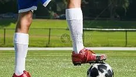 nba买球 (中国)官方 资讯 135840 lnm